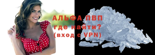 молекула духа Зеленодольск