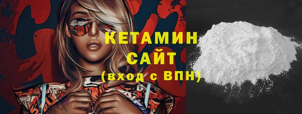 шишки Богородицк