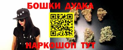 PSILOCYBIN Беслан