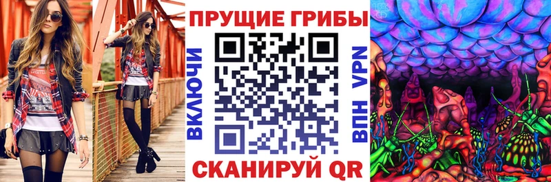 Псилоцибиновые грибы GOLDEN TEACHER  продажа наркотиков  Видное 